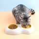 thumbnail image 3 of Comedero para perros y gatos con yema de huevo, bebedero para agua, cuenco para comida para cachorros y gatitos. Cuenco doble, 3 of 9