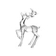 thumbnail image 1 of Acrylic Reindeer With One Leg Raised, 1 of 1