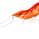 thumbnail image 3 of Paraguas Gancho Arco Iris Simulación Swimbait Pesca Camarón Cebo Doble (03) Sywqhk Para Estrenar, 3 of 8