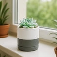 thumbnail image 3 of 3.5 Inch Ceramic Planter Pot with Drainage Hole and Saucer, Indoor Cylinder Round Planter Pot, White/Speckled Grey, 94-O-A-6, 3 of 7