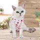 thumbnail image 2 of Perro Traje de Recuperación Onesie Después de Mascotas Esterilizadas Camisa para Perros Machos Gatos Quirúrgico Postoperatorio Snuggly Chaleco para Heridas Abdominales Destete Lamer Chaleco, 2 of 6