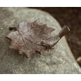 thumbnail image 4 of Esschert Design FB152 Cast Iron Birdbath, Small, 4 of 6