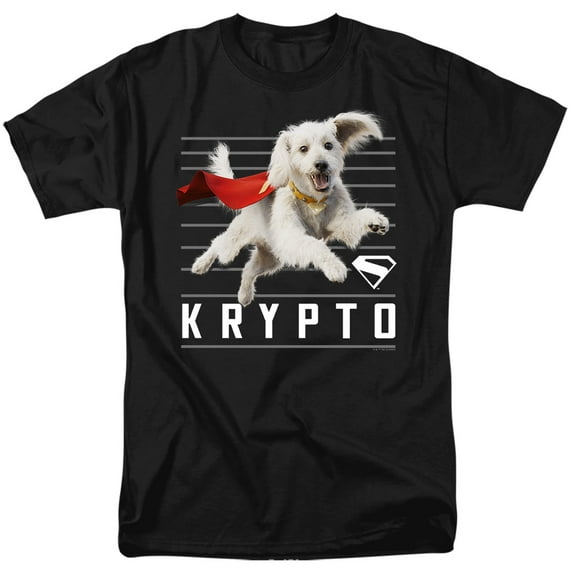 Superman 2025 Krypto Lines Graphic Tee For Men & Women
