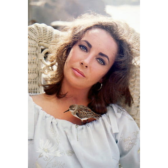 Elizabeth Taylor Color Beautiful Late 60's 24X36 Poster