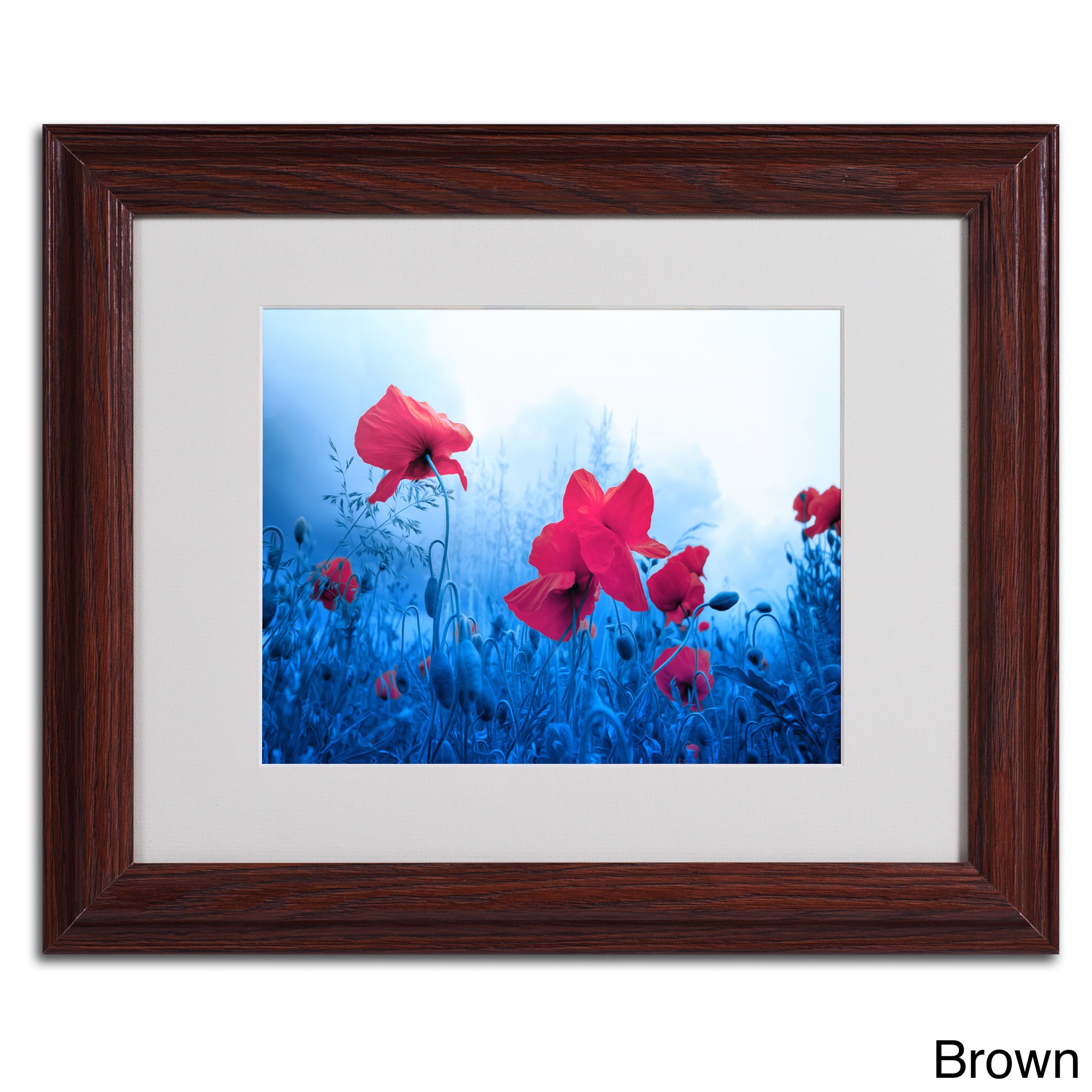 Trademark Fine Art "Jam for Poppies" Canvas Art by Philippe Sainte-Laudy, Black Frame