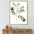 thumbnail image 2 of Designart 'Ancient Botanicals XVIII' Traditional Framed Canvas Wall Art Print, 2 of 5