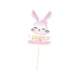 thumbnail image 4 of Vajilla desechable para fiesta de Pascua, accesorios para suministros de fiesta de color rosa, bonito patrón de conejo para té de , Estilo G, 4 of 10