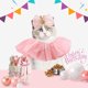 thumbnail image 3 of Conjunto de corona y babero con lentejuelas rosas para mascotas, para fiesta de cumpleaños de perros y gatos, conjunto de tiara con lazo de princesa para cumpleaños de perros, 3 of 6