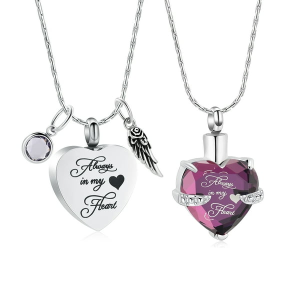 2Pack Neacklace February Birthstone Heart with Feather Cremation Jewelry for Ashes Urn Necklace Lockets for Human Ashes Pet Ashes Holder