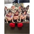 thumbnail image 4 of Dog Collar With Detachable Bow Tie, Adjustable Dog Collars With Bow For Medium Dogs, 4 of 5
