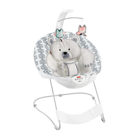 Fisher-Price See & Soothe Deluxe Bouncer, (Best Fisher Price Bouncer)