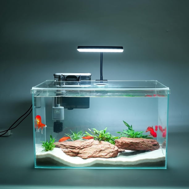 Acuario Vimvins, pecera pequeña de vidrio de 10 galones con filtro