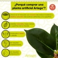 thumbnail image 3 of Planta artificial decorativa moderna con maceta Compacta Pack de 2 unidades Oak de 30cm de alto Artego para hogar sala comercio oficina, 3 of 9