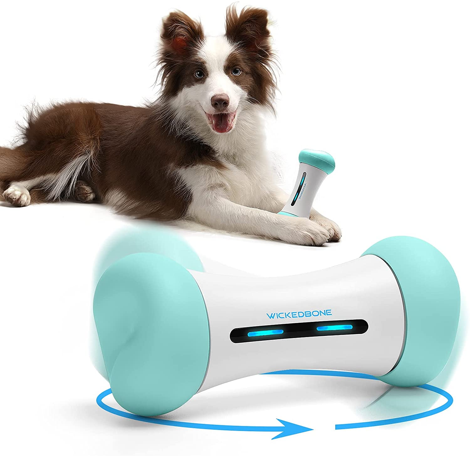 Smart Dog Toy