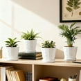 thumbnail image 5 of BUYMAX  Shell-Embossed 5" Ceramic Plant Pots with Drainage, White Indoor Flower Pots,Bathroom Decor,Set of 4, 5 of 6