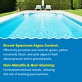 thumbnail image 6 of In The Swim Complete Bromine Pool Care Bundle – Bromine Tabs, Chlorine-Free Shock, No-Phos Clarifier & Algaecide 60 Plus - Basic BPCB_Basic, 6 of 7