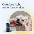 thumbnail image 5 of Honest Paws Dog Shampoo Plus Conditioner, 5-in-1 Dog Wash, 16 oz Oatmeal & Aloe, 5 of 9