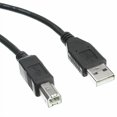 thumbnail image 2 of CableWholesale.com - Câble USB - USB (m) vers USB Type B (m) - USB 2.0 - 3 Pi - Moulé - Noir, 2 of 4