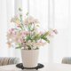 thumbnail image 3 of 4Pieces Plant Level Pot Elevator-20cm Diameter Big Plant Stands ,Heavy Planter Holder Potted Plant Stand for Deck or Patio, 3 of 5