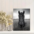 thumbnail image 2 of Qisvanset 12x16 Inch Black White Wild Horse Panoramic Canvas Wall Art, Equine Scenery Art for Living Room Decor, 2 of 8