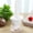 White, variant on 2pc Multicolor Silicone Oil Brush for BBQ and Sauce - Perfect for Easy and Mess-Free Cooking