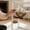 Brown, variant on BVCL Cat Snack Spoon Food Licking Spoon Squeezing Wet Food Cat Snack Spoon Cat Strip Feeder ( Color)