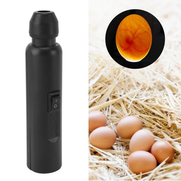 Egg Candler, Cold Light Egg Candling Lamp Even and Gentle Lighting Comprehensive Illumination for Science Experiment
