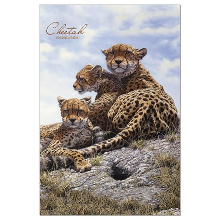 - Tree-Free Greetings Cheetah Family Classic ECOnotes Blank Note Cards-FS66917