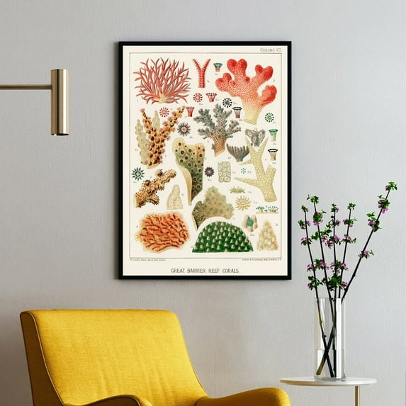 Great Barrier Reef Corals - 1893 | William Saville-Kent | Premium Fine Art Print | 19th Century American | Impressionism | Portrait | Nature Art