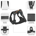 thumbnail image 6 of Picia Autumn with Pumpkins No-Pull Dog Harness Reflective Front Clip Vest with Handle,Step-in Air Dog Harness,Adjustable 2 Metal Rings 4 Buckles,Easy to Put on & Take Off, 6 of 9