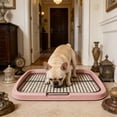 thumbnail image 1 of Dog Potty Tray For Small Medium Dogs With Removable Reseau Disclose Proof Base Plain Clean Pet Litter Box Portable Dog Litter Box For Apartment Balcony Travel, 1 of 6