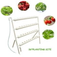 thumbnail image 6 of INTBUYING Hydroponic Site Grow Kit Terrace Type 4 Pipe 36 Plant Site Garden Plant Growing System, 6 of 9