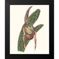 thumbnail image 2 of Wang, Melissa 12x14 Black Modern Framed Museum Art Print Titled - Orchid Display IV, 2 of 5