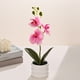 thumbnail image 1 of Artificial Potted Phalaenopsis Orchid with Bendable Stems for Home Office Desk Wedding Decor 1 Count, 1 of 9