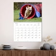 thumbnail image 3 of Flying dogs in agility (Monthly Wall Calendar 2026 16.5 x 23.4 (open)), CALVENDO 14 Month Calendar, 3 of 9