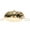 gold, variant on Trendy French Marble Pattern Box Bag Acrylic Shell Handbag Women's Handheld Crossbody Evening Egg-Shaped Bag – Retro European & American Style Lightweight Fashion Accessory