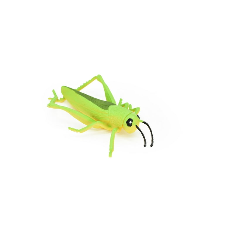 Grasshopper toy hotsell