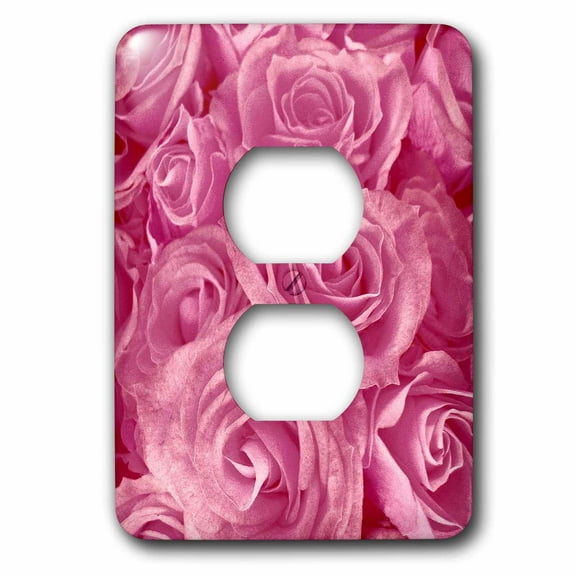 3dRose, Close up scene of dreamy soft pink roses, 2 plug outlet cover