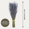 thumbnail image 2 of Dried Lavender 2 Bunches 100 Fresh Natural Purple Bouquet Flowers For Bathroom Photo Props Crafts Decoration 1517 For Shower Weeding Vase Decor Home Fragrance 200220 Stems(100g 3.5oz Total ), 2 of 7