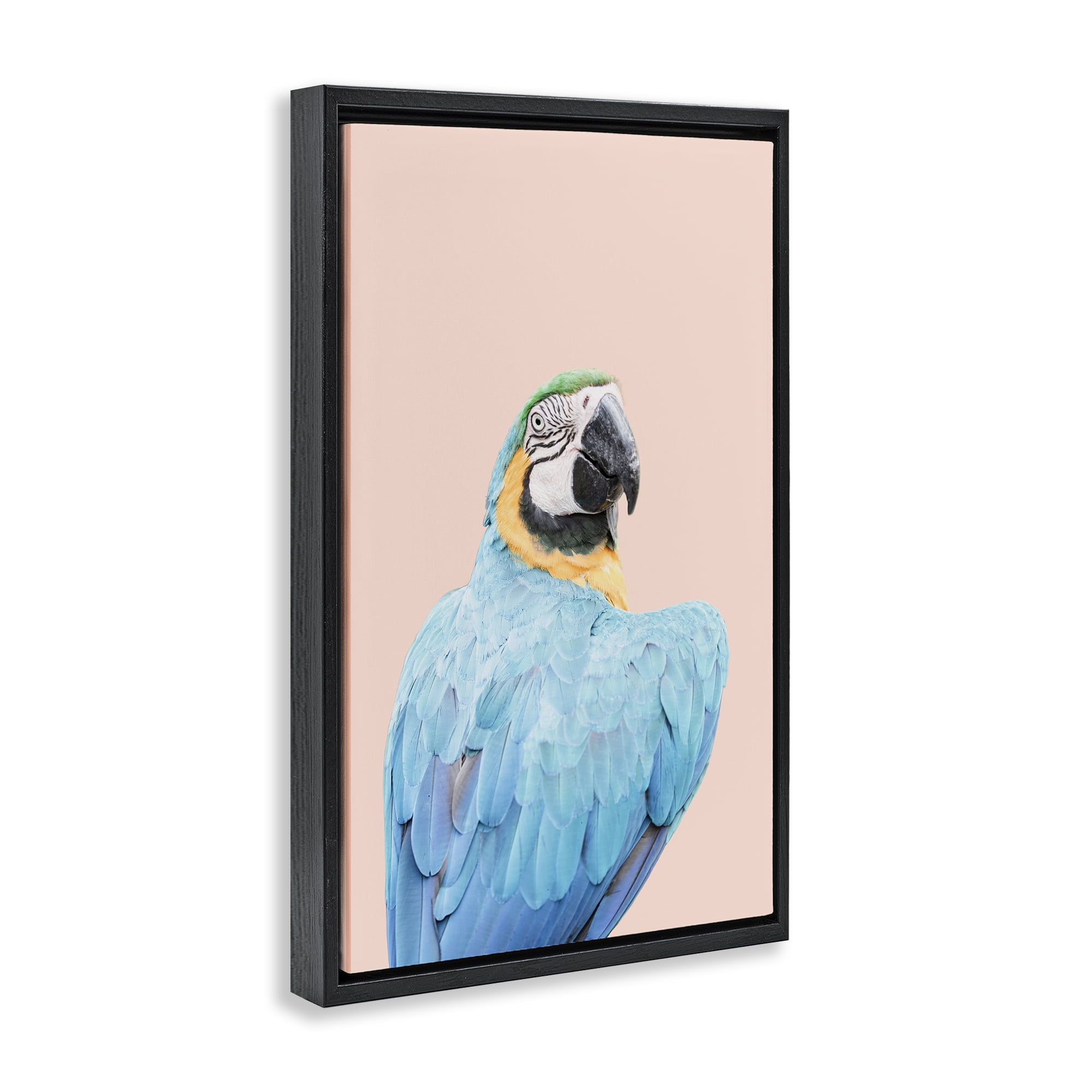 Stupell Industries Blue Ara Macaw Animals Painting Black Floater Framed Canvas Art Print Wall Art, 21 x 31
