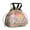 Pioneer Flower-2, variant on Pioneer Flower Drawstring Lunch Bag Women - Drawstring Lunch Bag Insulated for Work Office - Stain-Resistant Large Lunchbags for Women with Multi-Pockets