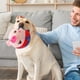 thumbnail image 4 of Juguete de peluche para mascotas en movimiento activo, juguete interactivo para perros, juguete para perros móvil que habla, juguete electrónico para perros, juguete de rebote para perros y gatos, 4 of 5