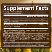 Mullein Gummies, Mullein Leaf Dietary Supplement for Respiratory System, Immune & Digestive Support, Immune, 60 Gummies(2 Pack)