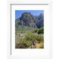 thumbnail image 2 of Spring Mountains, 15 Miles West of Las Vegas in the Mojave Desert, Nevada, USA Framed Print Wall Art by Fraser Hall Sold by Art.Com, 2 of 5