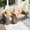 Gray + Brown, variant on Costway 2 PCS Patio Corner Sofa Set with Thick Cushions Wide Acacia Wood Armrests for Garden Gray
