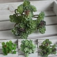 thumbnail image 3 of Landscape Simulation 24 Heads Succulents Home Decoration Fake Plants, 3 of 9