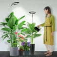 thumbnail image 1 of Grow Lights for Indoor Plants Full Spectrum ;; Plant Light with Gooseneck Colors Modes and Dimmable Levels Timer LEDs Height Adjustable Grow Lamp for L, 1 of 7