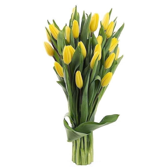 KaBloom : 20 Yellow Tulips, Next-Day Delivery, Gift for Every Occasion