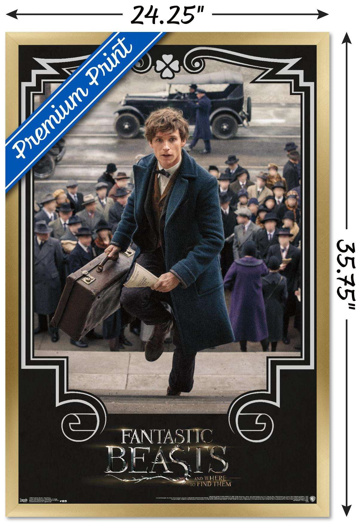 Fantastic Beasts And Where To Find Them - Newt Steps Wall Poster, 22.375" x 34", Framed