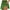Green, variant on Jacenvly New Womens Yoga Skirts Trendy Women's Summer Pleated Tennis Skirts Athletic Stretchy Short Yoga Fake Two Piece Trouser Skirt Shorts Lightweight Green